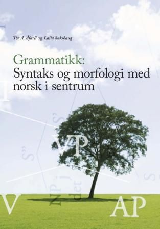 Grammatikk: syntaks og morfologi med norsk i sentrum