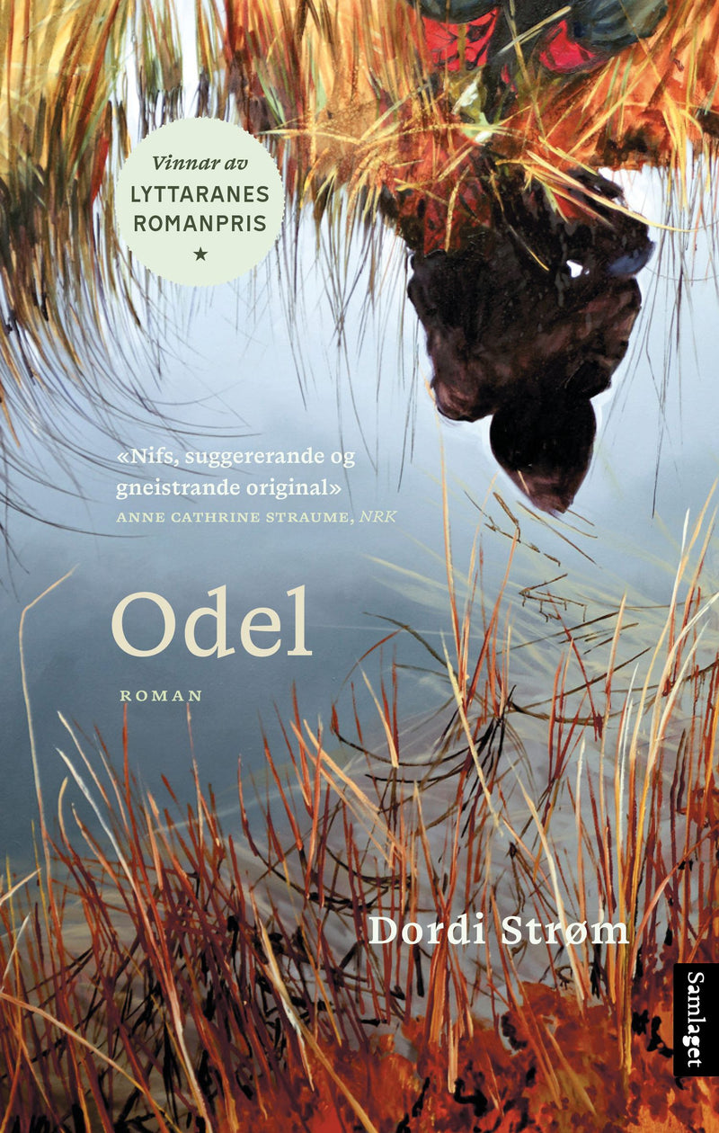 Odel: roman