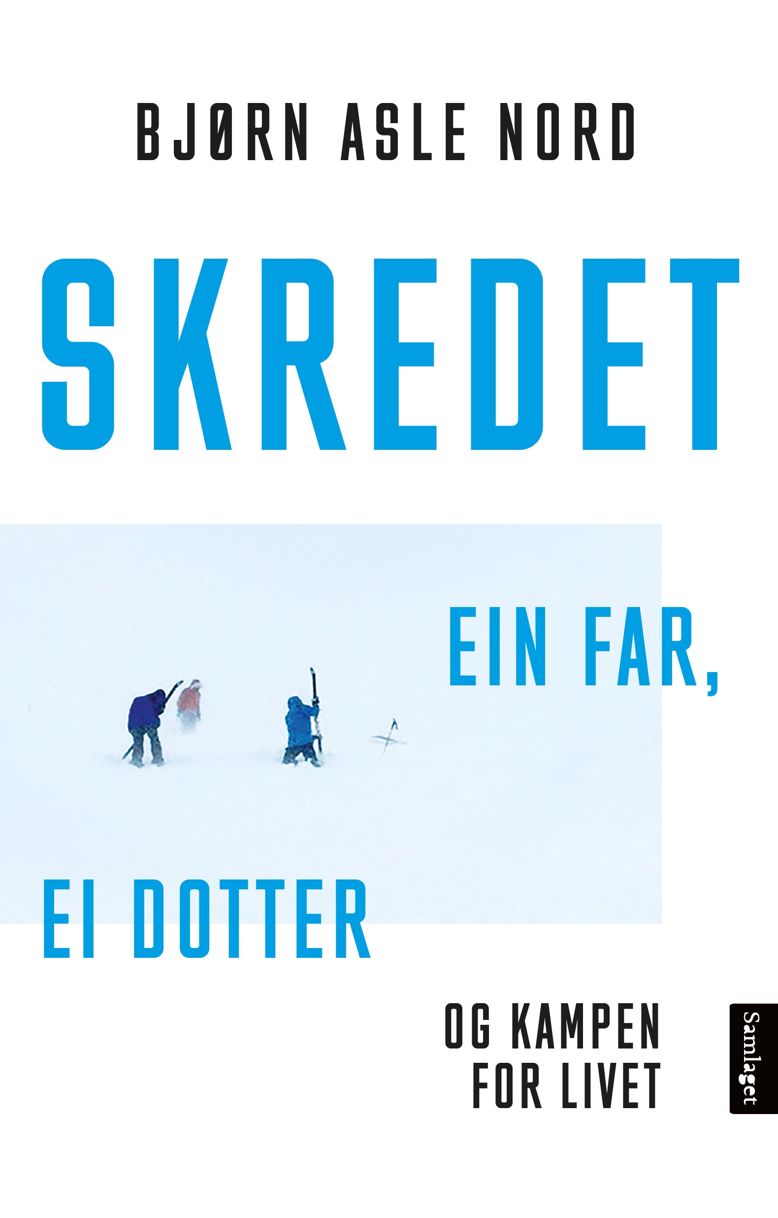 Skredet: ein far, ei dotter og kampen for livet