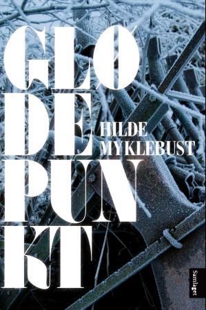 Glødepunkt: roman