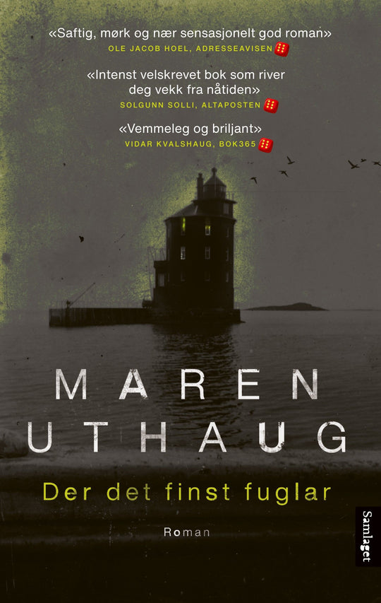 Der det finst fuglar: roman