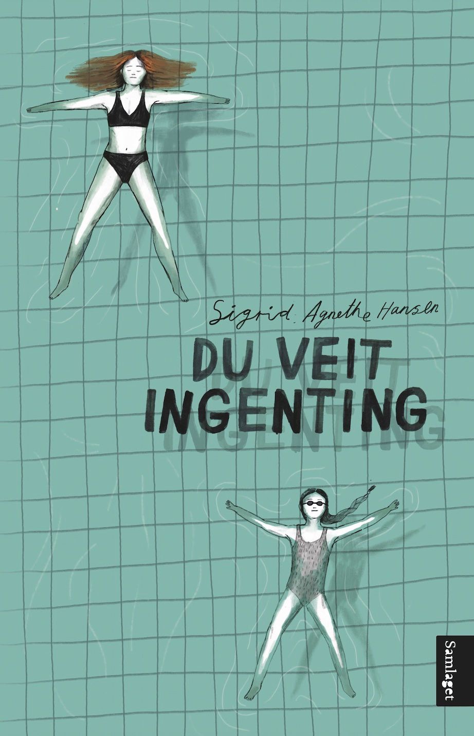 Du veit ingenting: roman