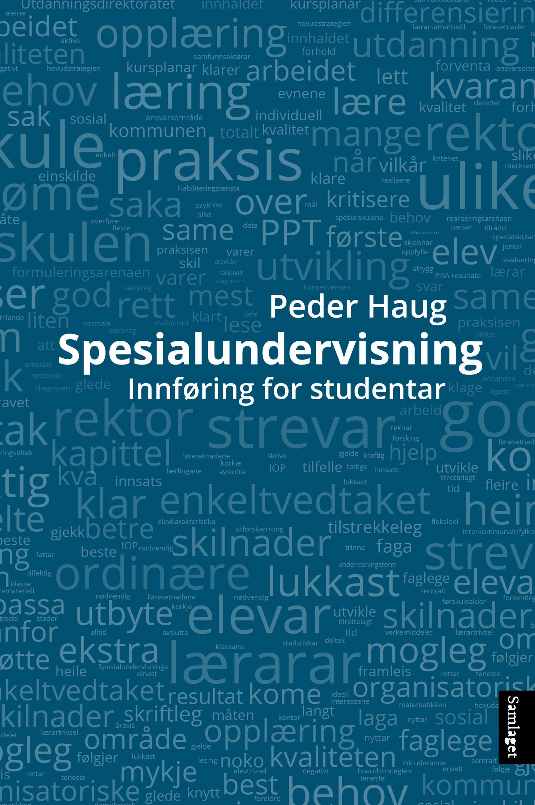 Spesialundervisning: ei innføring