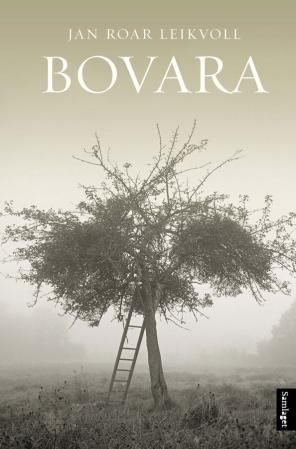 Bovara: roman