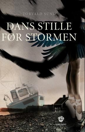 Dans stille før stormen: roman