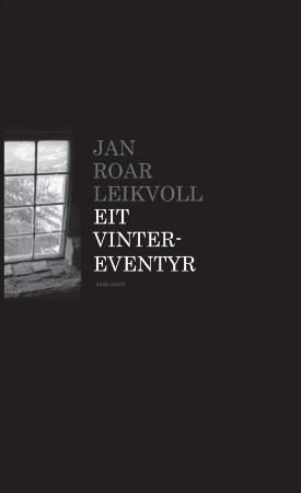 Eit vintereventyr: roman