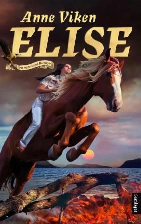 Elise og mysteriet på Hesteøya: roman