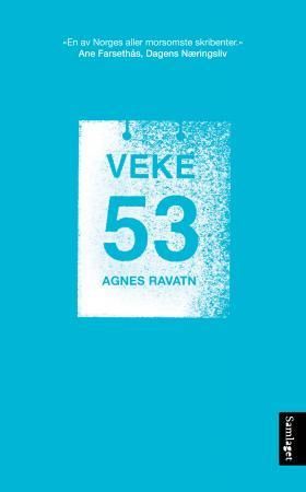 Veke 53: roman