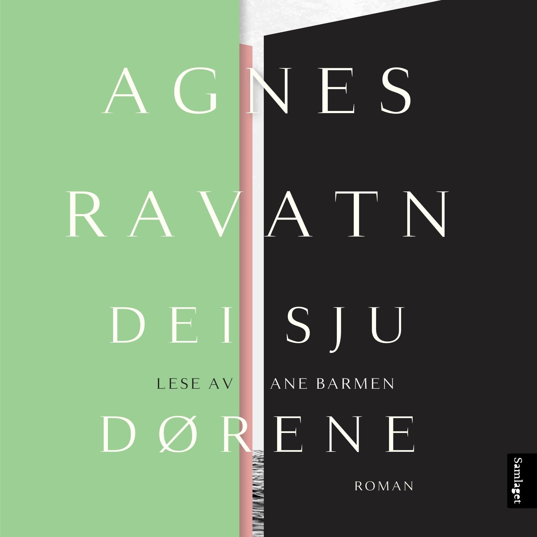 Dei sju dørene: roman