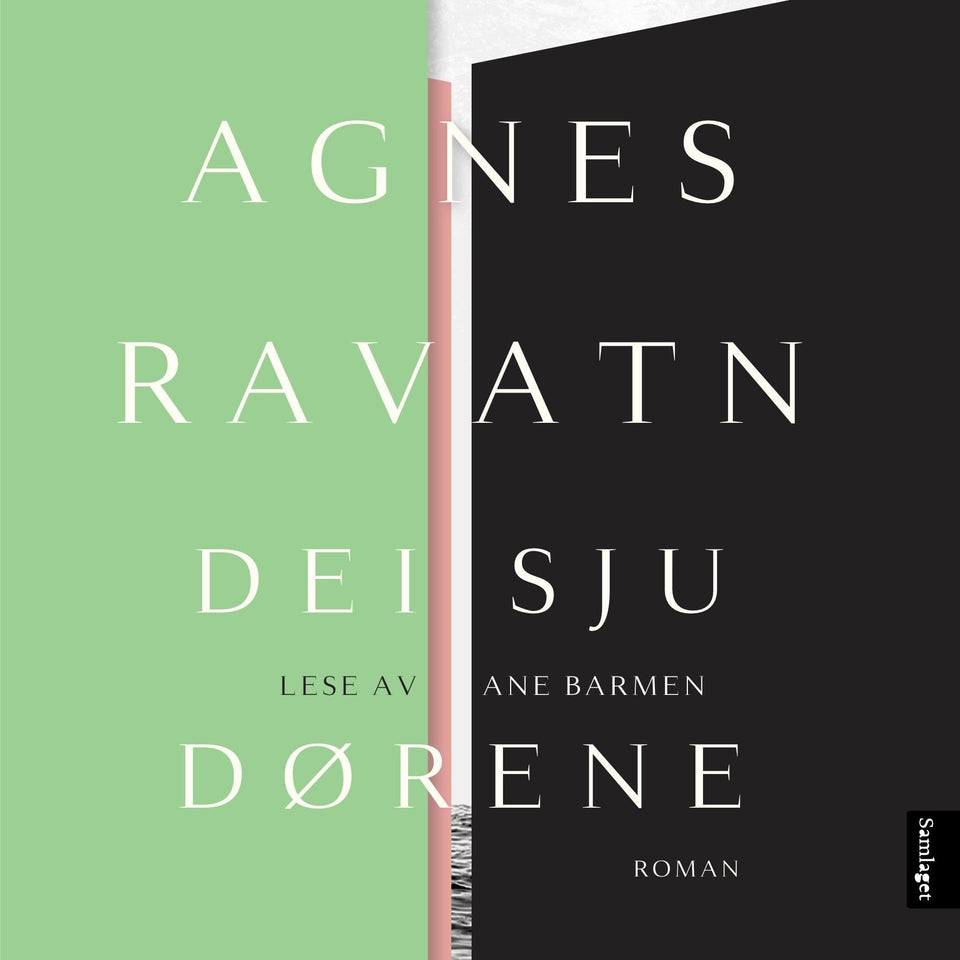 Dei sju dørene: roman