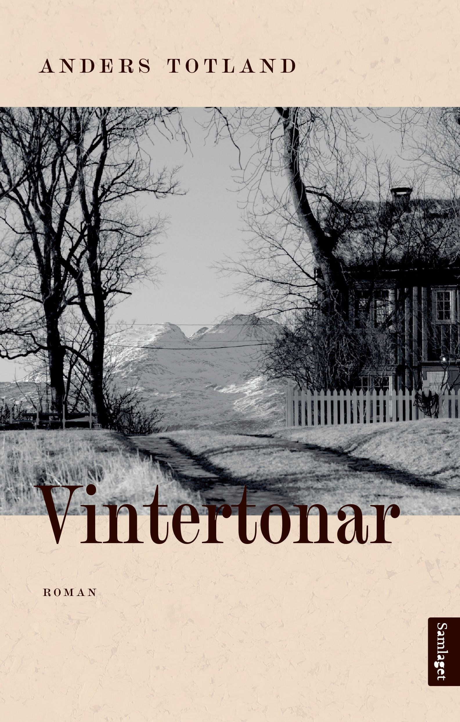 Vintertonar: roman