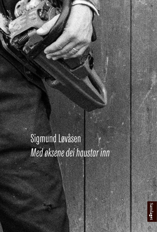 Med øksene dei haustar inn: dikt