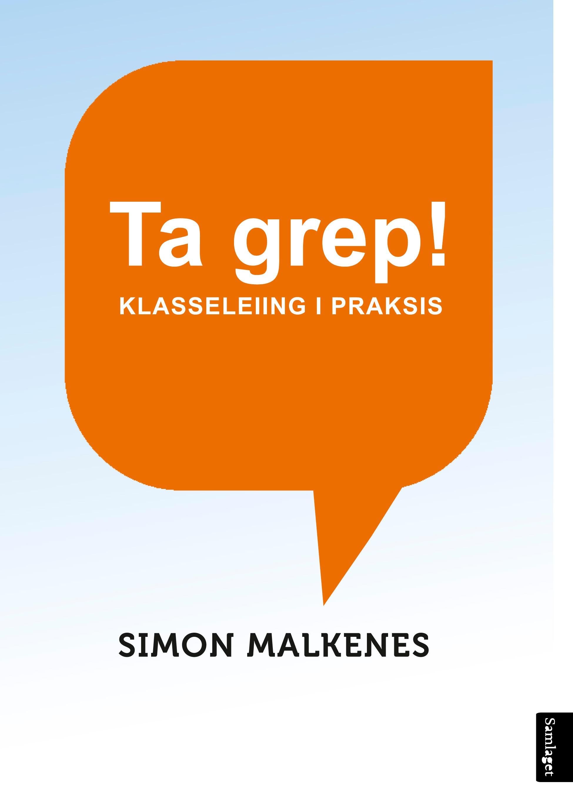 Ta grep!: klasseleiing i praksis