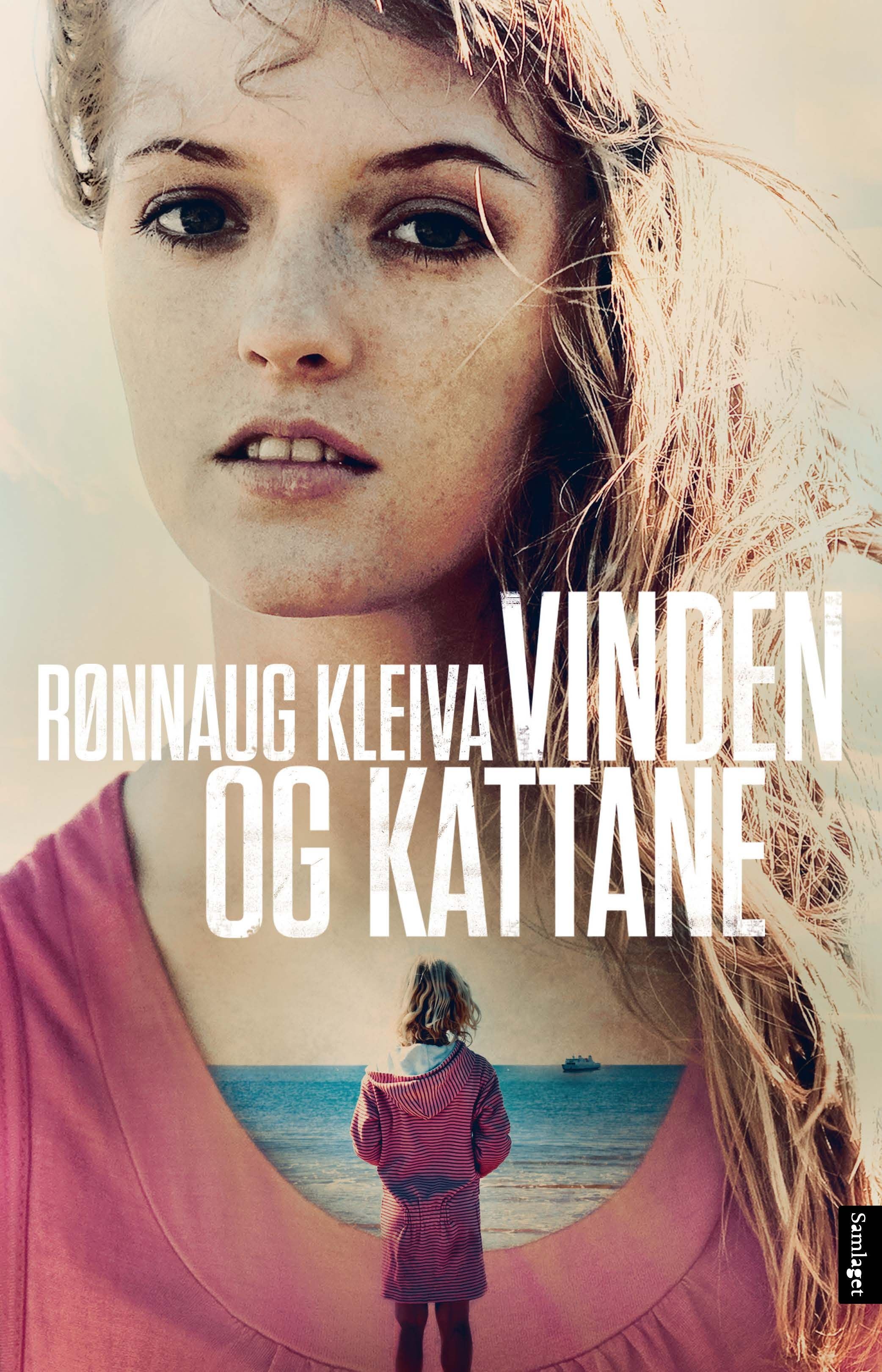 Vinden og kattane: roman