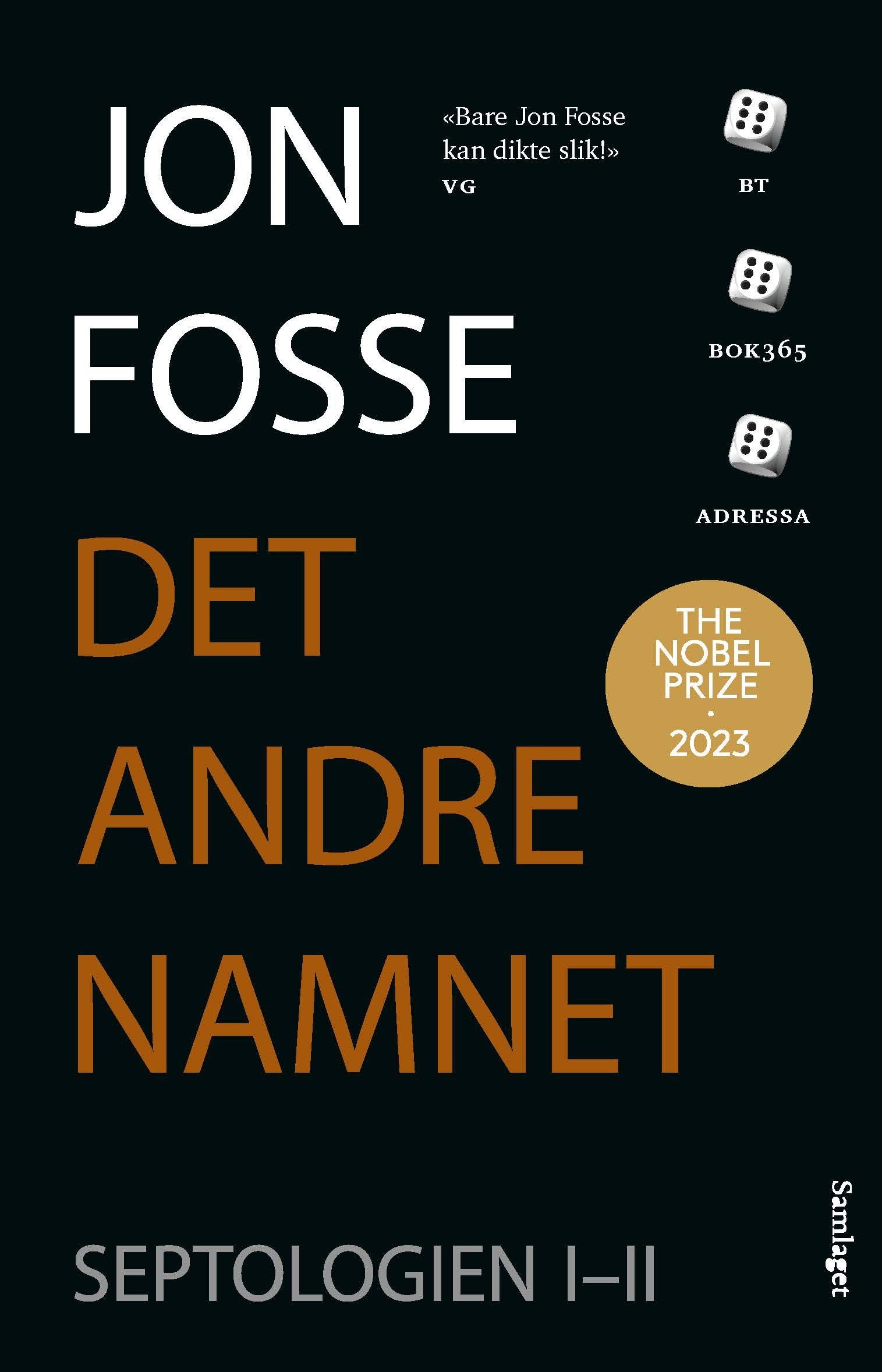 Det andre namnet: roman