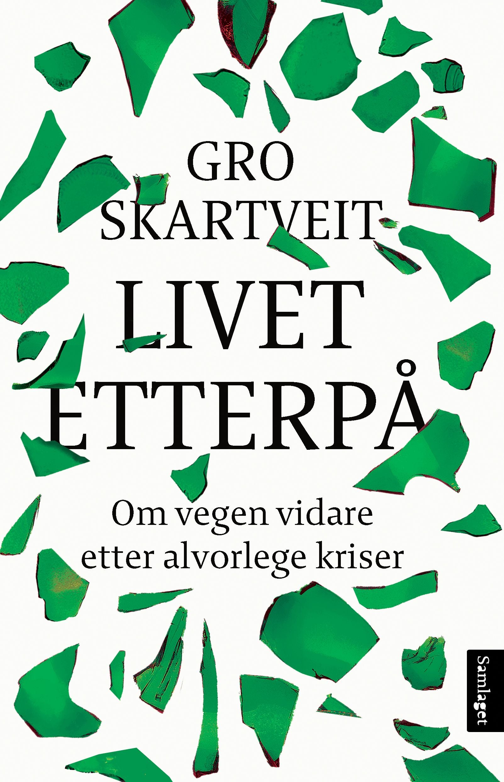 Livet etterpå: om vegen vidare etter alvorlege kriser