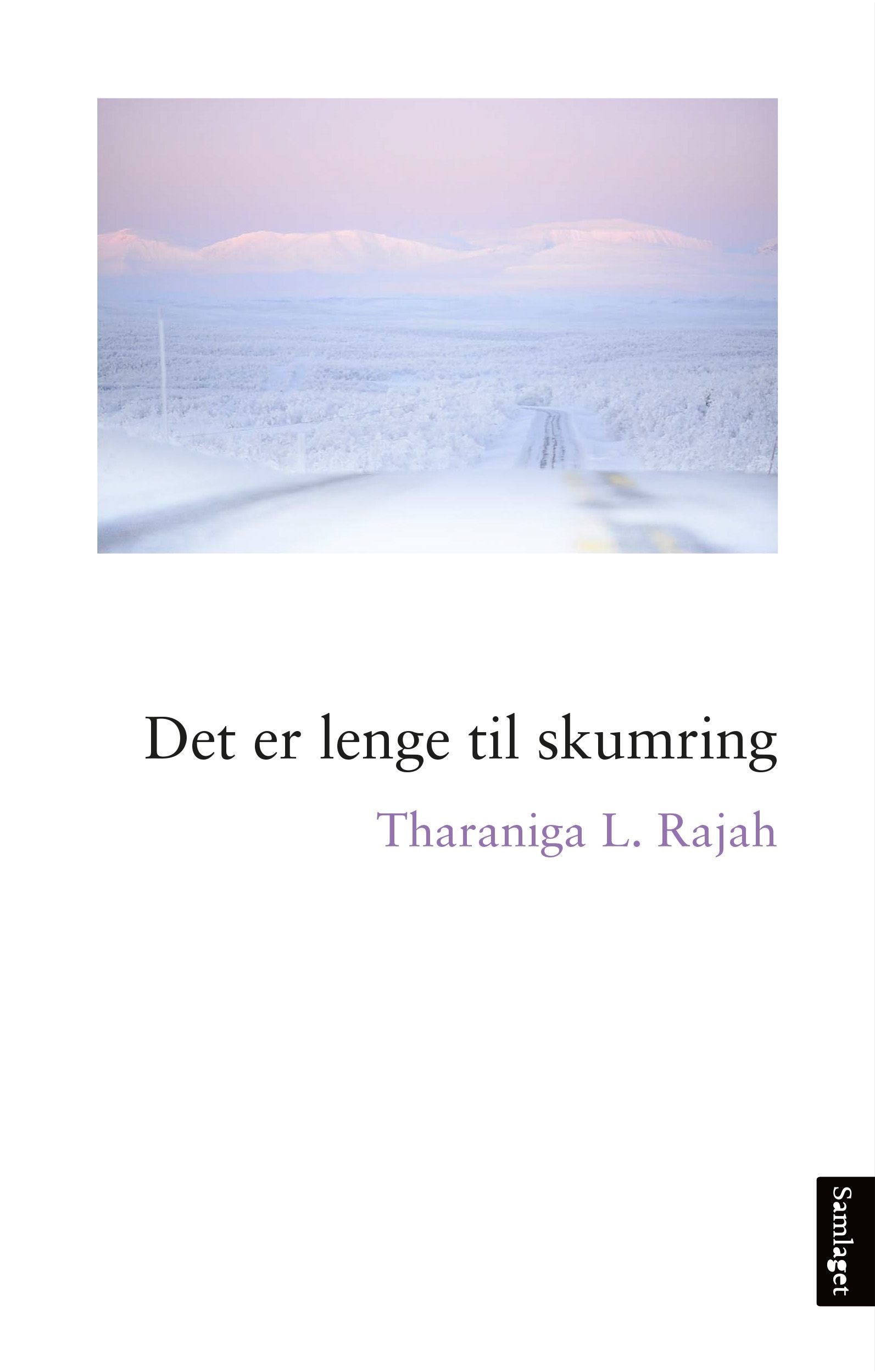 Det er lenge til skumring: roman