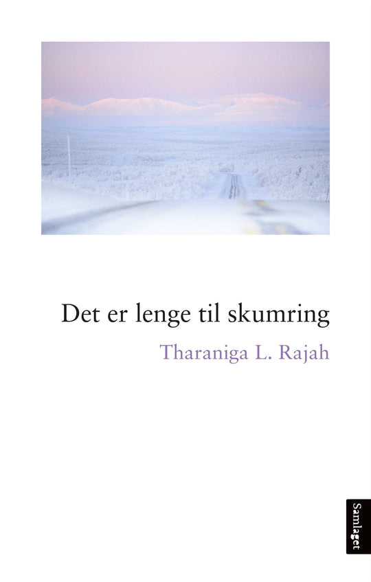 Det er lenge til skumring: roman