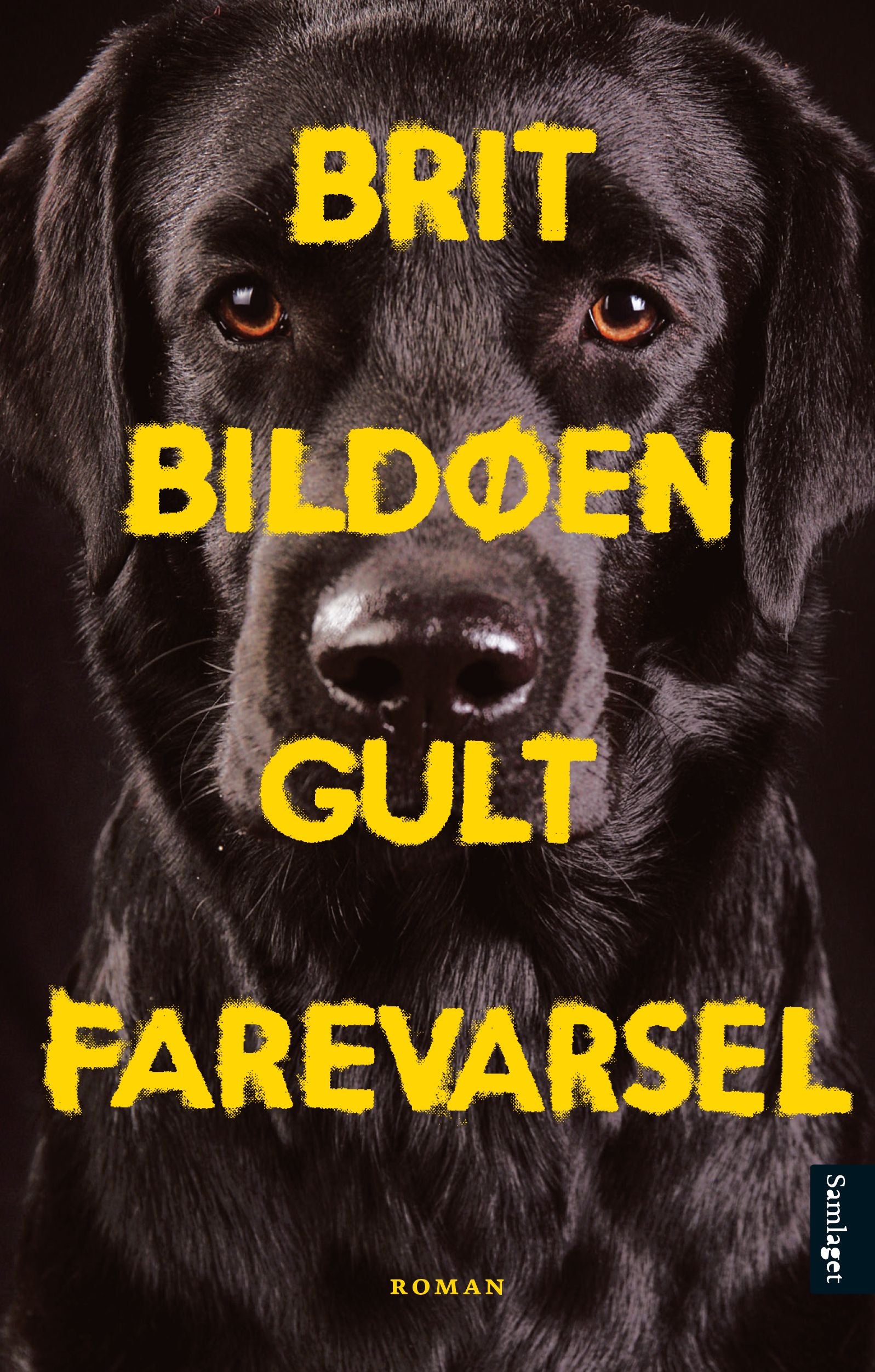 Gult farevarsel: roman