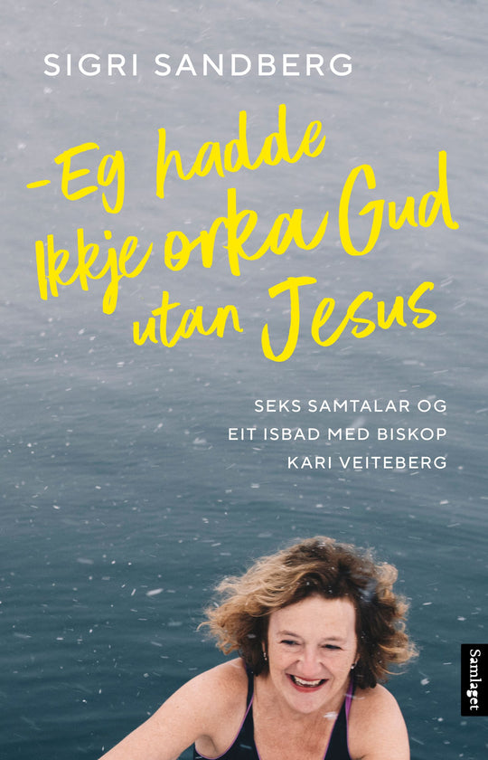 Eg hadde ikkje orka Gud utan Jesus: seks samtalar og eit isbad med biskop Kari Veiteberg
