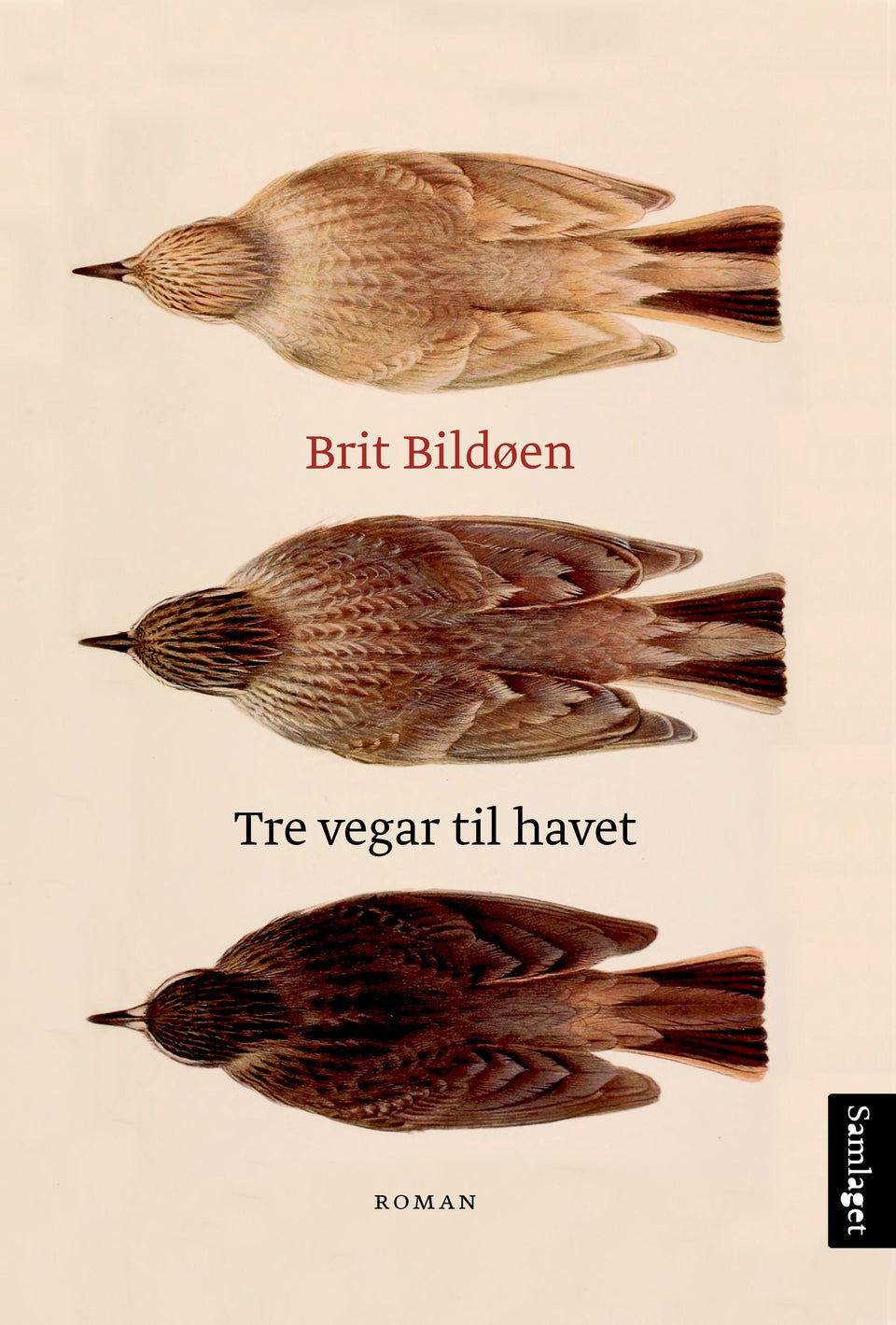 Tre vegar til havet: roman