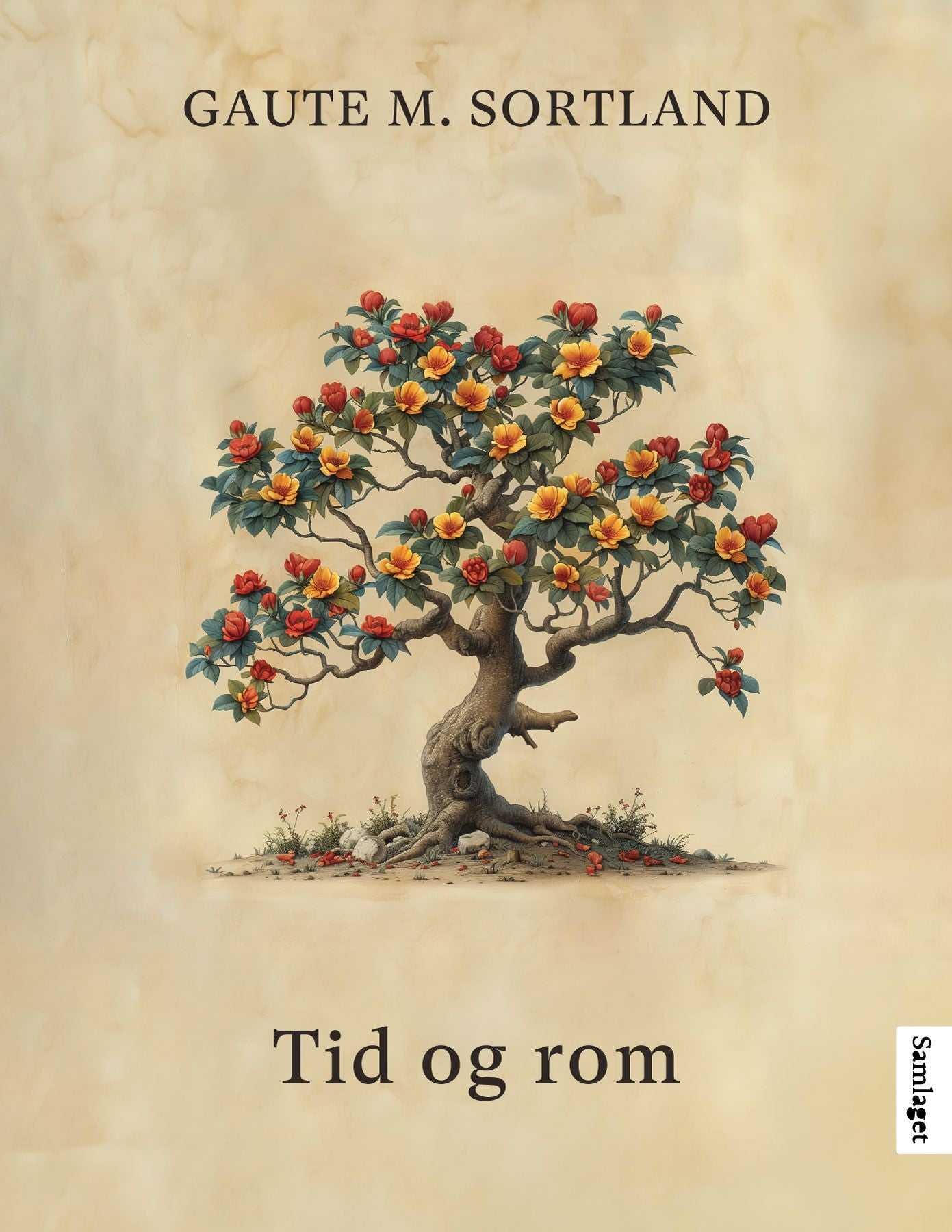 Tid og rom: roman