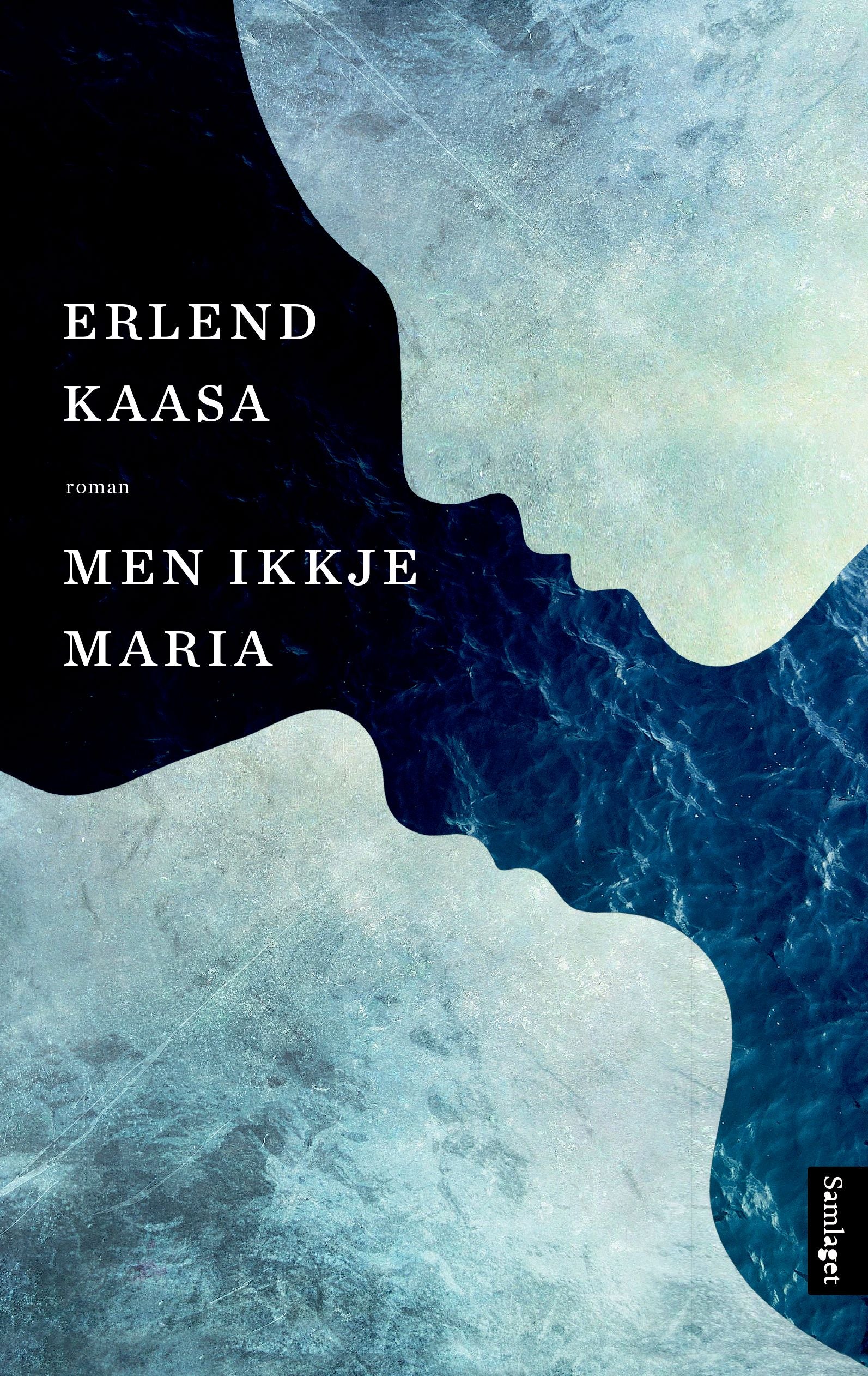 Men ikkje Maria: roman