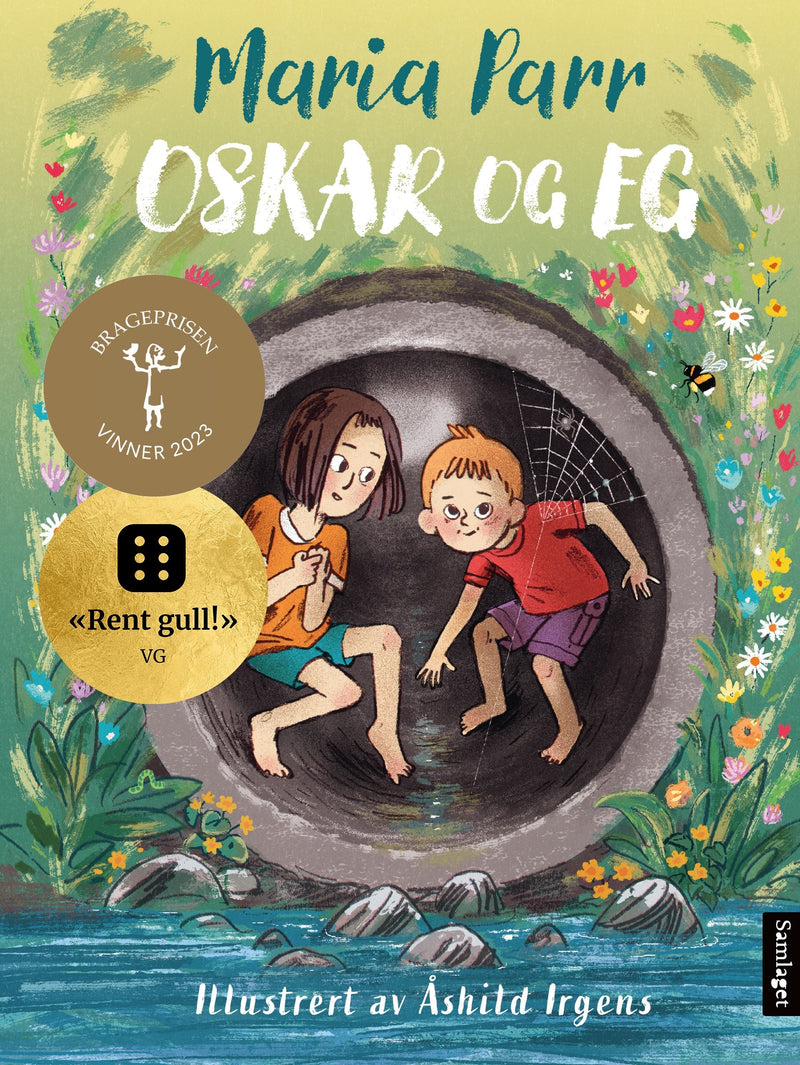 Oskar og eg: alle plassane vi er: roman