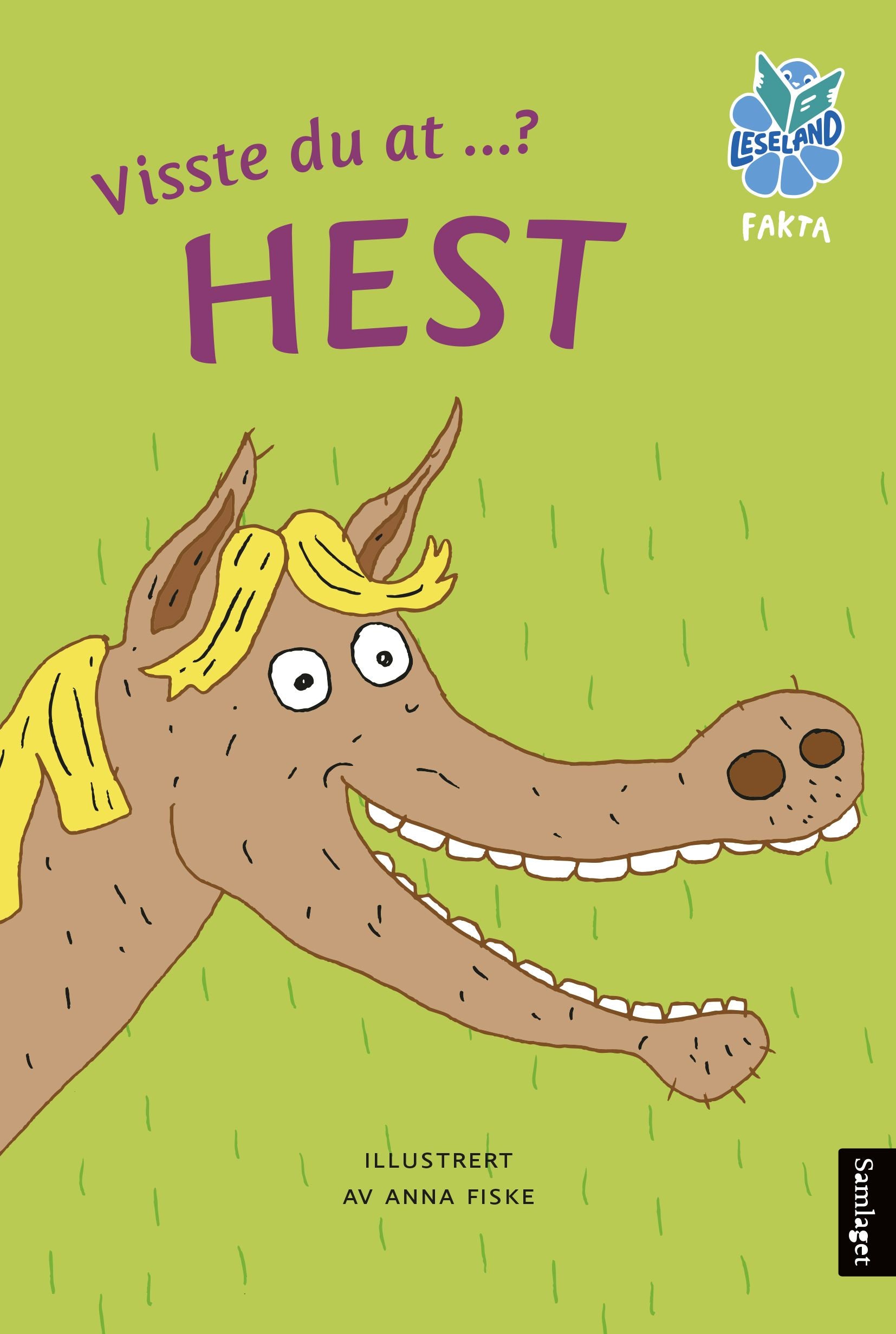 Visste du at ...? Hest