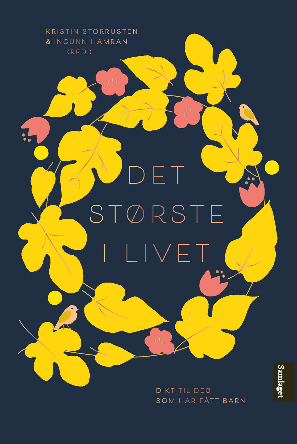 Det største i livet: dikt til nye foreldre