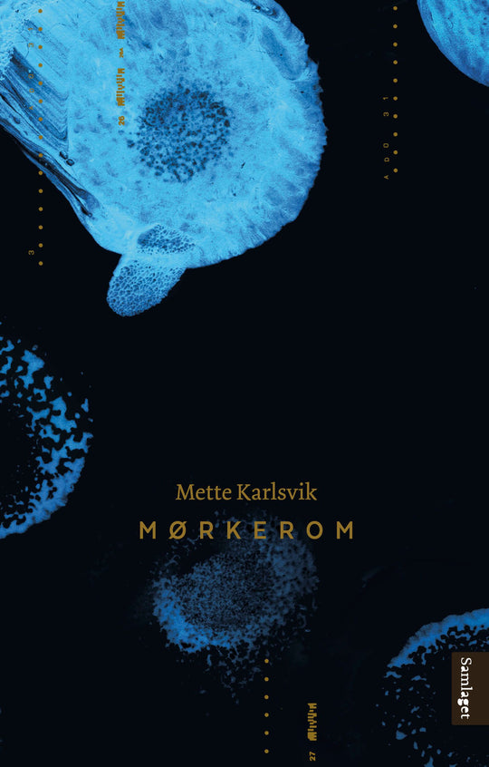 Mørkerom: roman