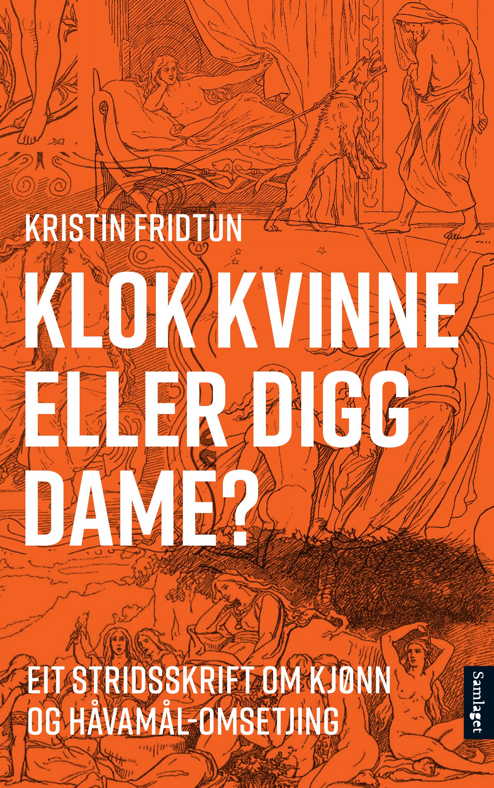 Klok kvinne eller digg dame?: eit stridsskrift om kjønn og Håvamål-omsetjing