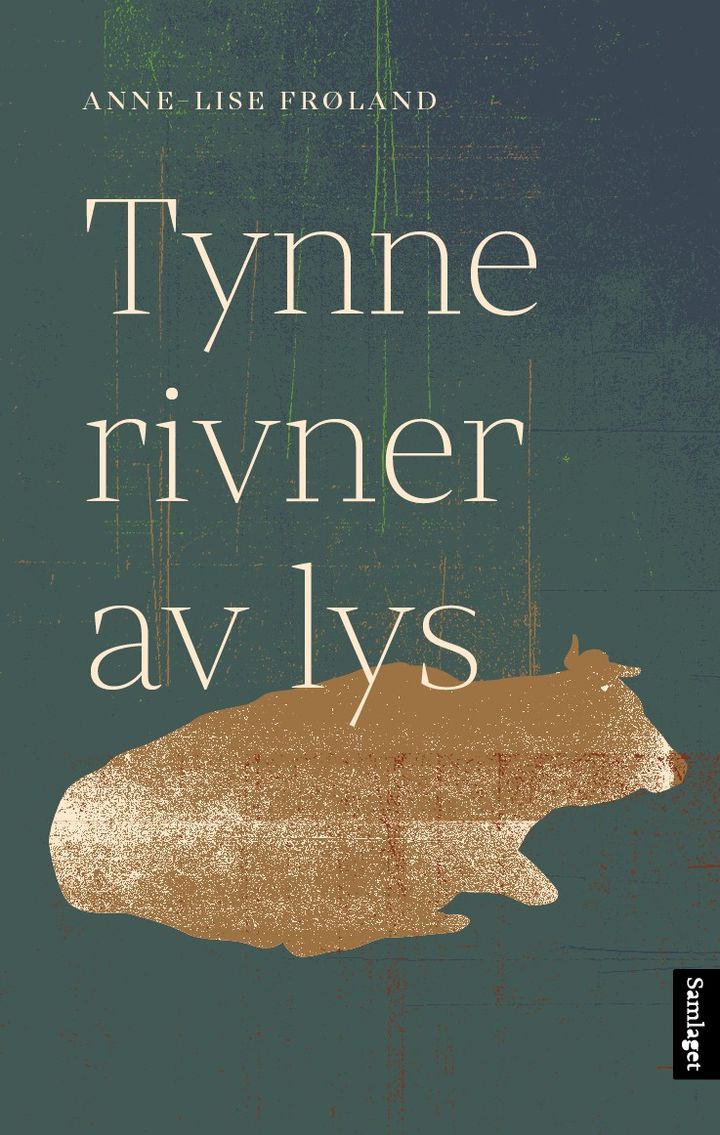 Tynne rivner av lys