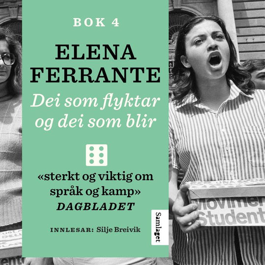 Dei som flyktar og dei som blir: mellomår : roman