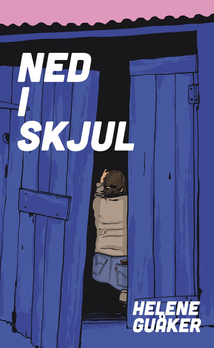 Ned i skjul: roman