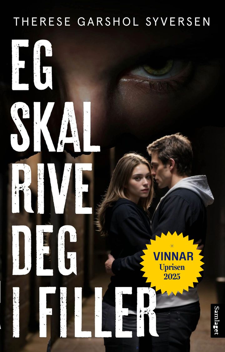 Eg skal rive deg i filler: roman