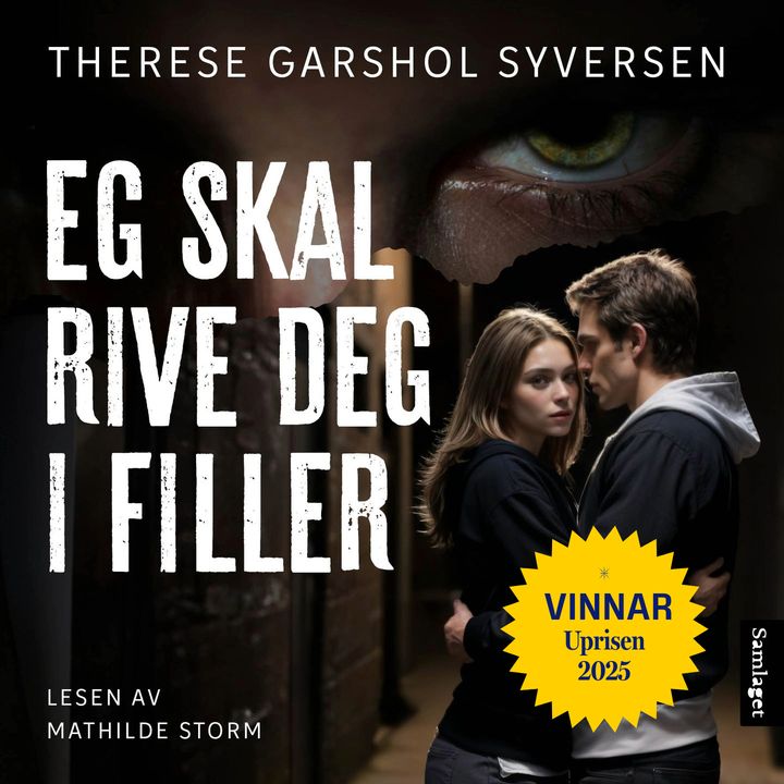 Eg skal rive deg i filler: roman