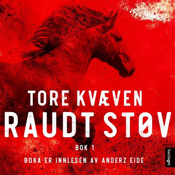 Raudt støv: Bok 1 : roman