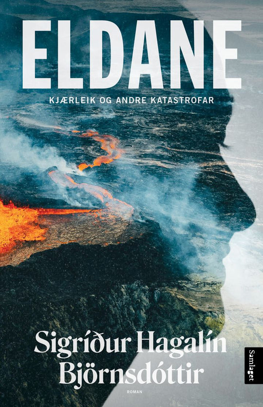 Eldane: kjærleik og andre katastrofar : roman