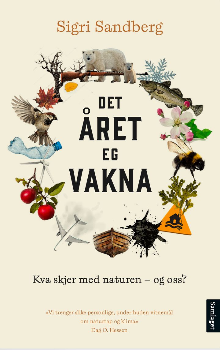 Det året eg vakna: kva skjer med naturen – og oss?