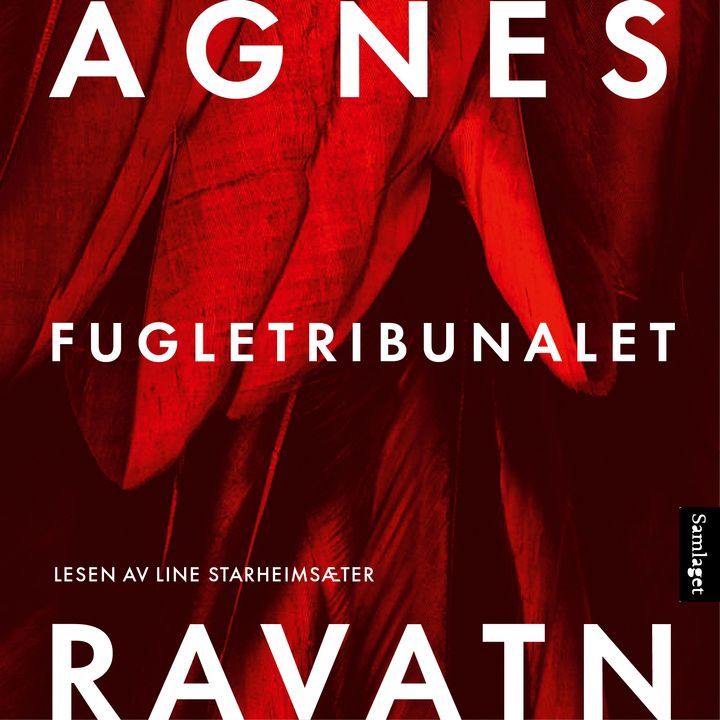 Fugletribunalet: roman