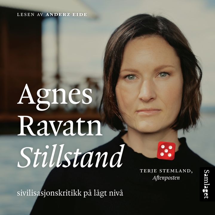 Stillstand: sivilisasjonskritikk på lågt nivå
