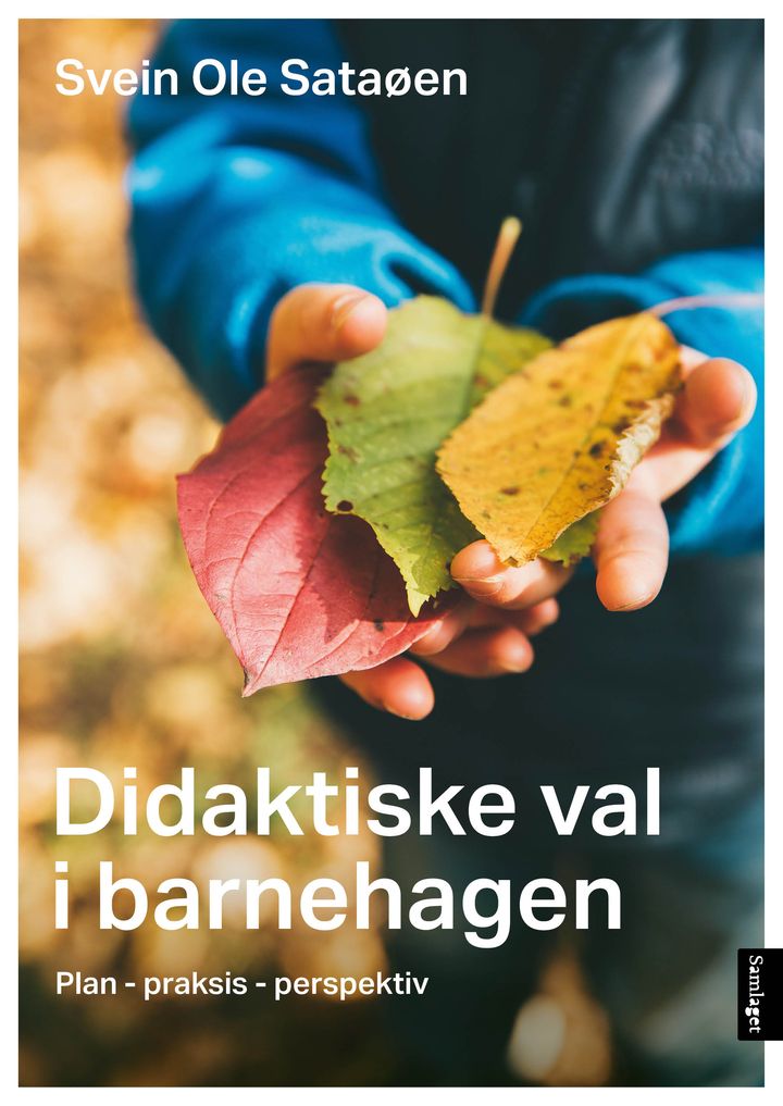 Didaktiske val i barnehagen: plan, praksis, perspektiv
