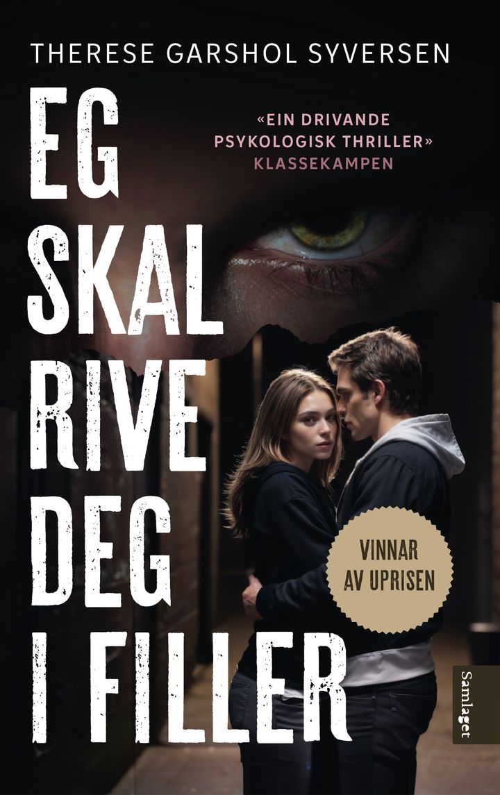 Eg skal rive deg i filler: roman