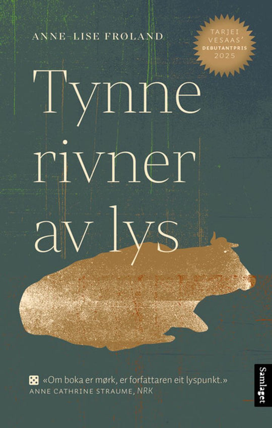 Tynne rivner av lys: roman