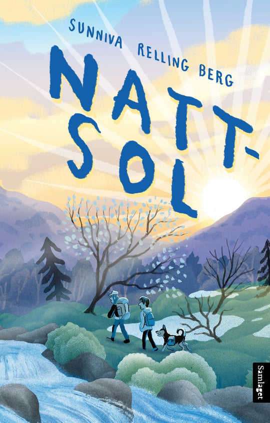 Nattsol: roman