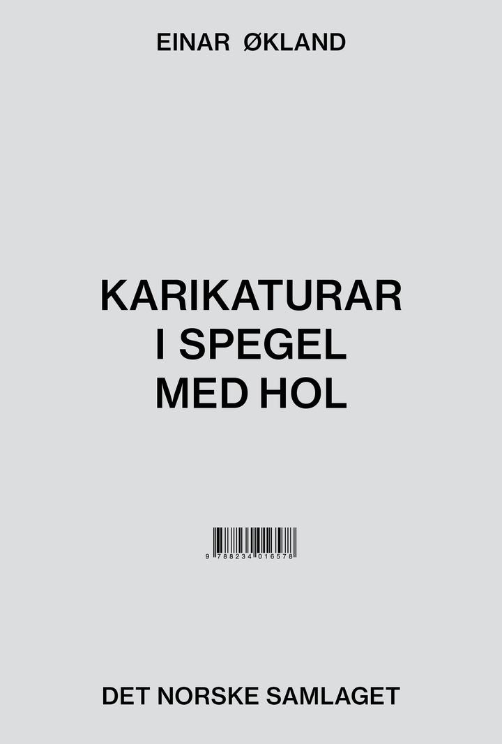 Karikaturar i spegel med hol