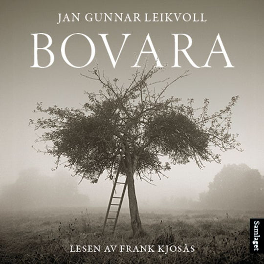 Bovara: roman