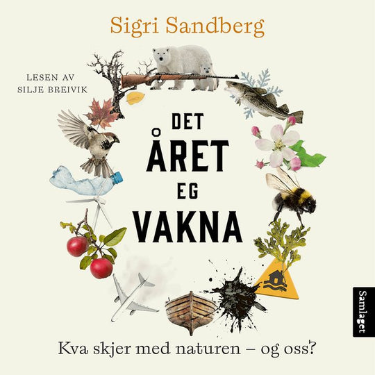 Det året eg vakna