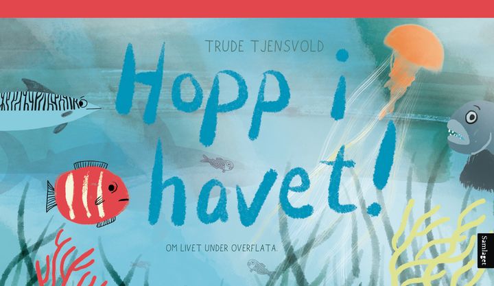 Hopp i havet: om livet under overflata